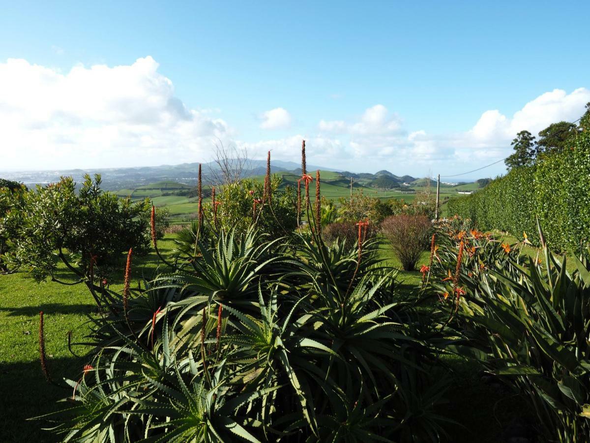 Villa Flor Do Monte Лагоа Екстериор снимка